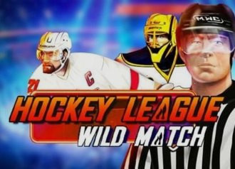 hockey-league-wild-match